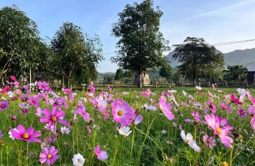 Hoa Vang Other | Bana Rita Glamping Farm
