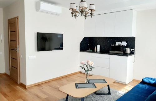 Old Town Apartment | Bangų gatvė 7