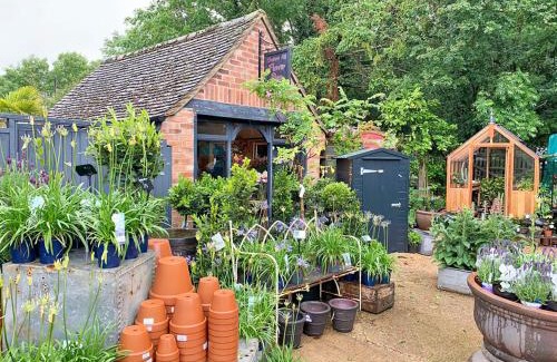 Tackley House | Banksiae