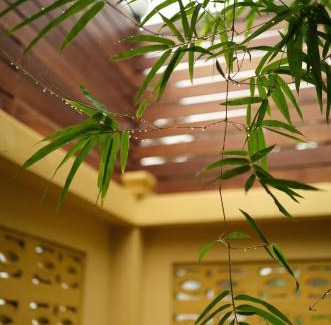 Thong Krut House | BANYASAMUI Wooden House, Sauna, Cold & Hot Bath in Koh Samui
