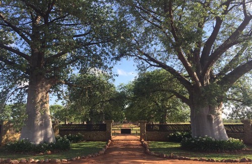 Lephalale Bed & Breakfast | Baobab Lane Lodge