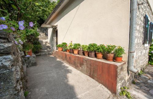 Muo Apartment | BARBARA101