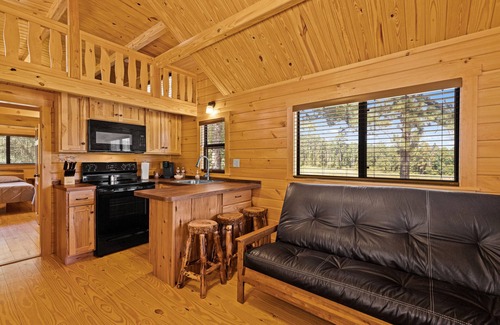 Gilmer Cabin | Barnwell Mountain Cabins #2: Cabin/Tiny Home w/loft in Gilmer across from BMRA