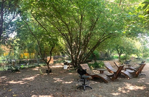 Sarrians House | Barrel Stay in Provence by Vineyards