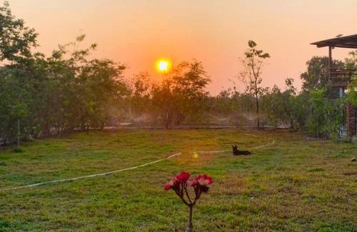 Banan Hotel | Bat Rice Resort