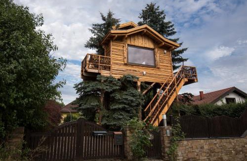 Senftenberg House | Baumhaus