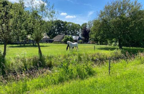 Mataram Bed & Breakfast | BB de Marshoek