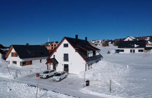 Bozi Dar Apartment | BD Boží Dar by Mountain ways