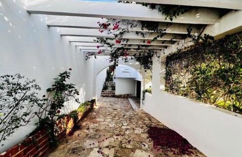 Gammarth Villa | Beach, landscaped garden, pool