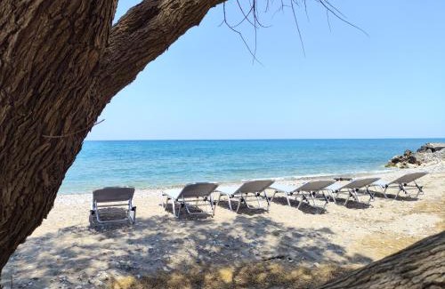 Dramia Villa | Beachfront Boutique Suites Alkioni
