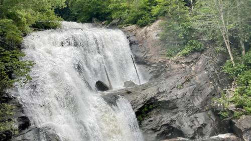 Tellico Plains House | Bear Track on Tellico River