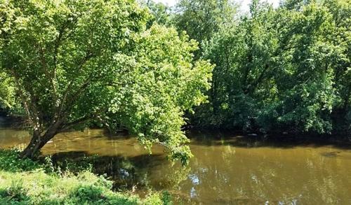 Tellico Plains House | Bear Track on Tellico River