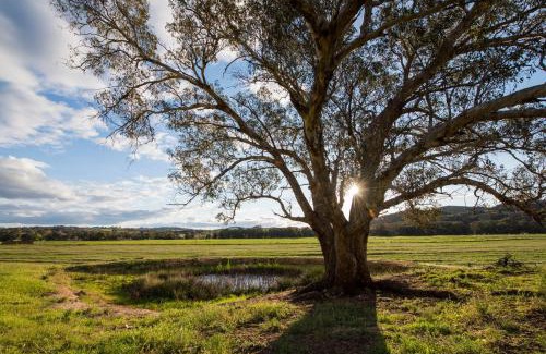Galambine House | Beaudesert Cottage - Mudgee