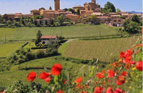 Ville-sur-Jarnioux House | Beaujolais - Maison pierres dorées