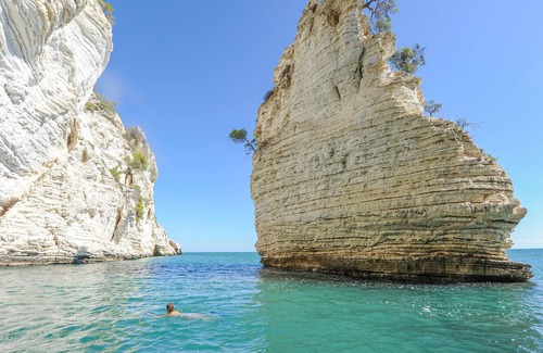 Pugnochiuso Apartment | Beautiful apartment in warm ambience not far from the coast.