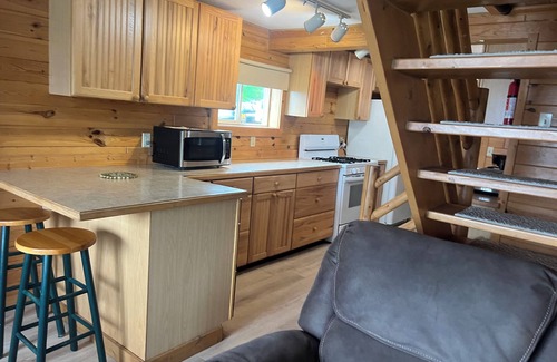 Indian River Cottage | Beautiful Cottage on Mullett Lake