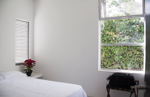 Armero Other | Beautiful Farm in a lush nature