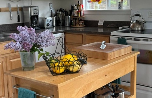 Occidental House | Beautiful home w/sweeping estuary, water views, Wifi, private grill & wood stove