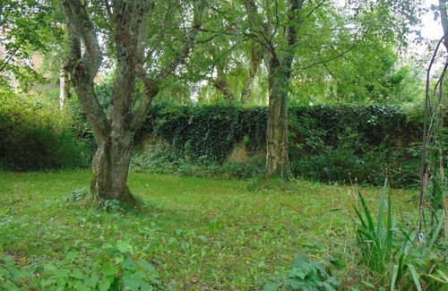 Vindefontaine House | Beautiful house with walled mature gardens in pretty village