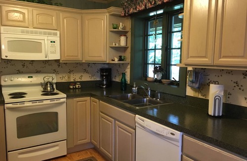 Trout Dale House | Beautiful Log Cabin Mountain Top Retreat, Among the Trees