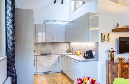 Prague 3 Apartment | Beautiful Luxury and Quiet Loft in Central Prague
