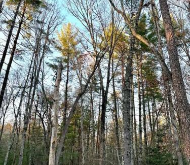 Unaka House | Beautiful & peaceful cabin w/deck garden & fire-pit