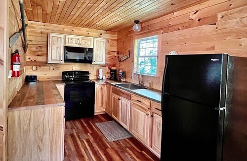 Manistee Cabin | Beautifully Renovated Vintage Cabin in the Heart of Manistee National Forest