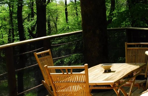 Salles-en-Toulon House | Beauty Park - Chimpanzee Hut 4 people