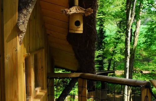 Salles-en-Toulon House | Beauty Park - Ouistitis family cabins 6 people