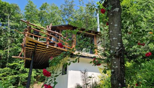 Valcanesti Cabin | Beauty Wood House in The Forest