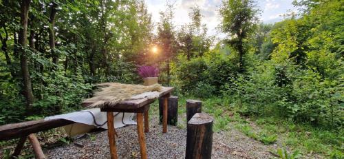 Valcanesti Cabin | Beauty Wood House in The Forest