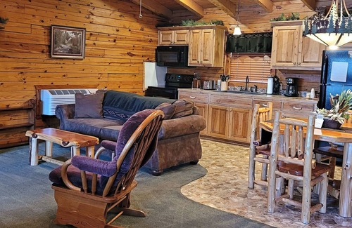 Sylvan Shores Cabin | Beaver Lake Cabin on the Waterfront with Boat Dock & Swim Deck