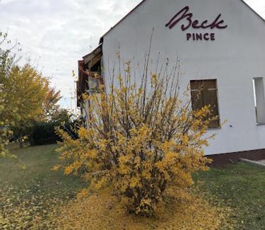Hajos Apartment | Beck Pince