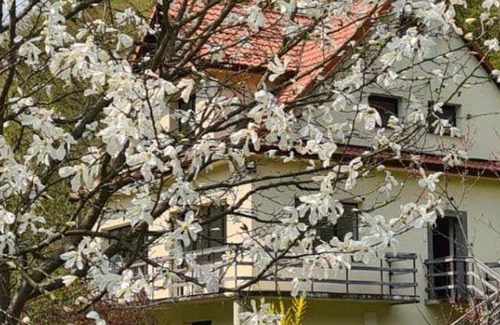 Wielka Wies Bed & Breakfast | Bed and breakfast ∙ 2 bedrooms ∙ 5 guests