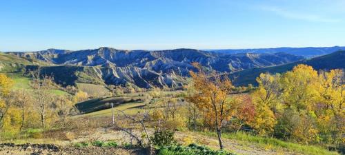Casalfiumanese Bed & Breakfast | Bed and Breakfast Quercia di Croara