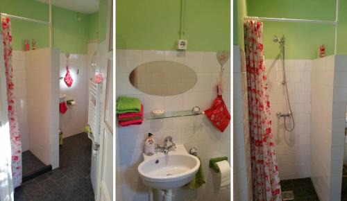 Wijnjewoude Bed & Breakfast | Bed and Breakfast Het Oude Bos