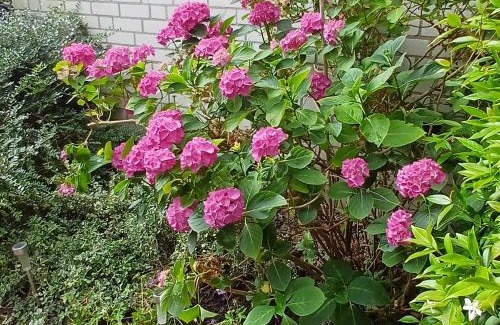 Municipality of Zoetermeer Bed & Breakfast | Bed & Breakfast de Koepeltjes