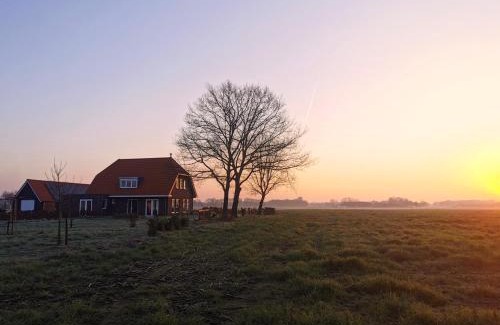 Terschuur Bed & Breakfast | Bed & Breakfast de Vink