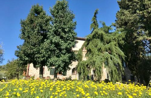 Nozanno Bed & Breakfast | Bed&Breakfast La Madonnina