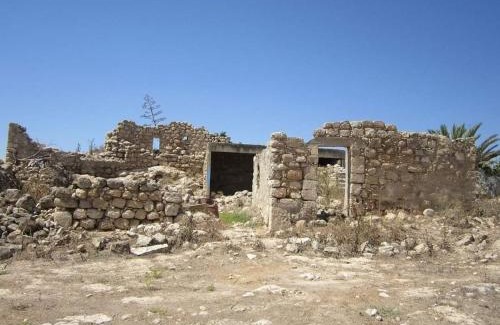 Al Batuf Bed & Breakfast | bedouin guest house