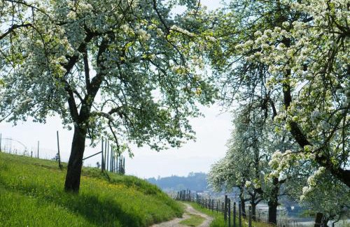 Kressbronn House | Beim Dorfbach - Die Hofchalets
