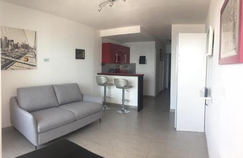 Palavas-les-Flots Apartment | Bel appartement F1 cabine 30m² face mer parking