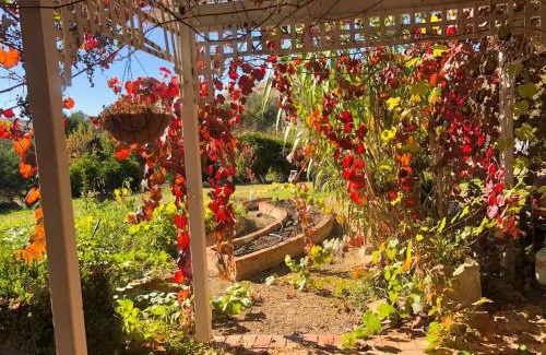 Bonnie Doon House | Belkampar Retreat - Authentic Farm Style Home - Perfect For Families and Large Groups!