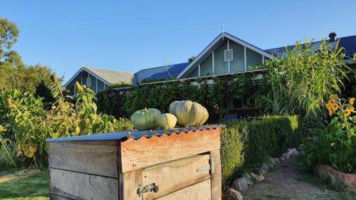 Bonnie Doon House | Belkampar Retreat - Authentic Farm Style Home - Perfect For Families and Large Groups!
