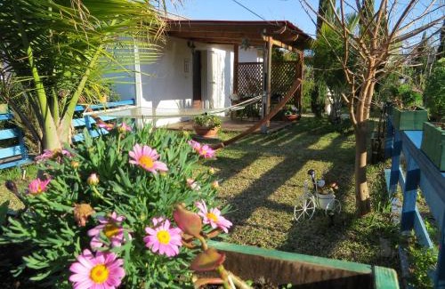 Kfar Bin-Nun Ski Chalet | BellaTroun Chalet