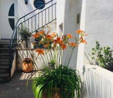 Juvignac Villa | Belle Villa avec Piscine proche Golf