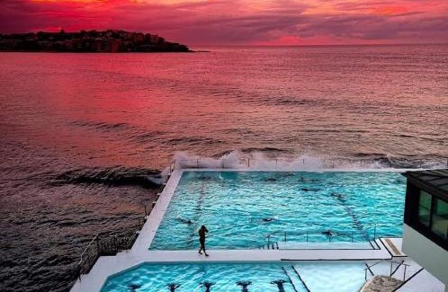 Bellevue Hill Apartment | Bellevue Hill Close BONDI Beach Up to 2 guests