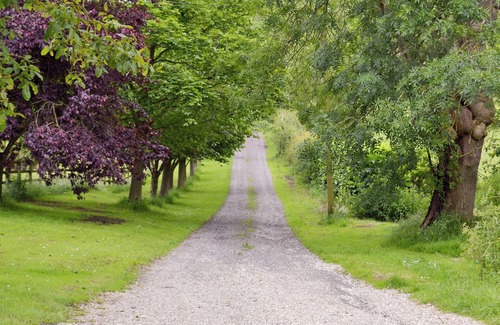 Tetford Cottage | Belvoir Lodge - UK44743