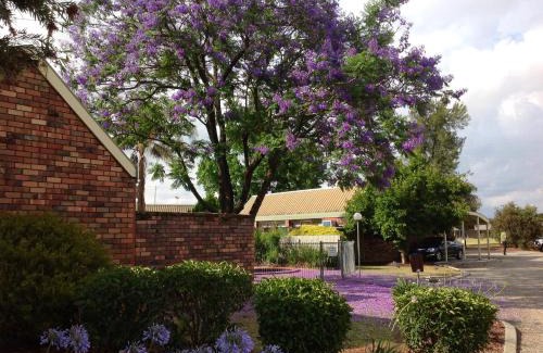 West Wodonga Hotel | Belvoir Village Motel & Apartments Wodonga