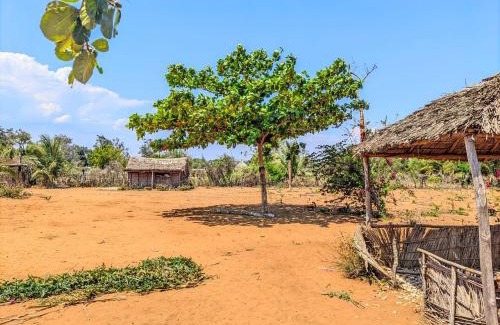 Ifaty Other | Bemaso plage